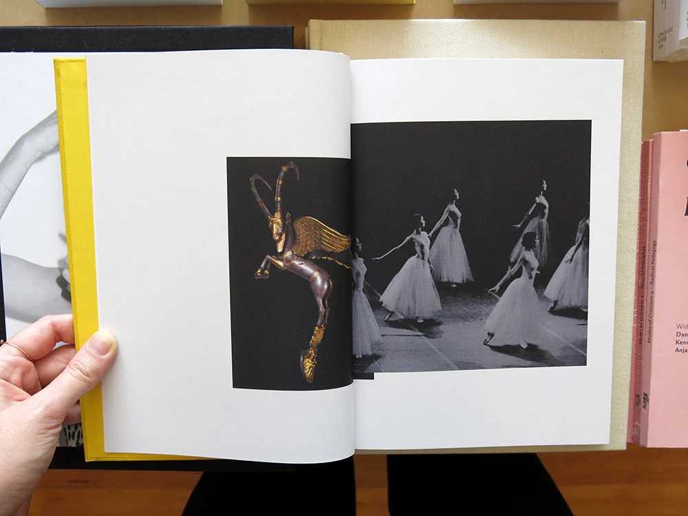 Aikaterini Gegisian – Handbook of the Spontaneous Other - Image 2