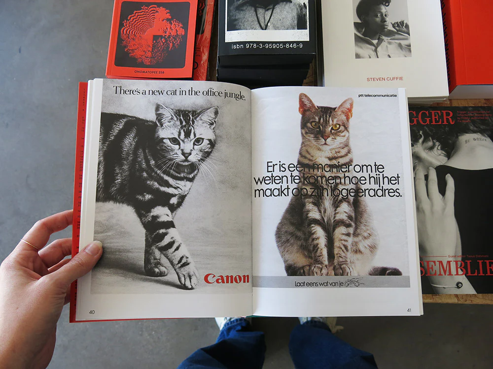 Alberto Vieceli – More Than Cat Food - Image 3