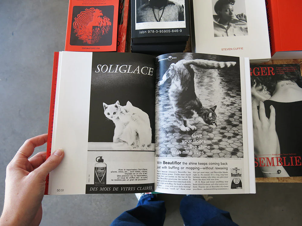 Alberto Vieceli – More Than Cat Food - Image 4