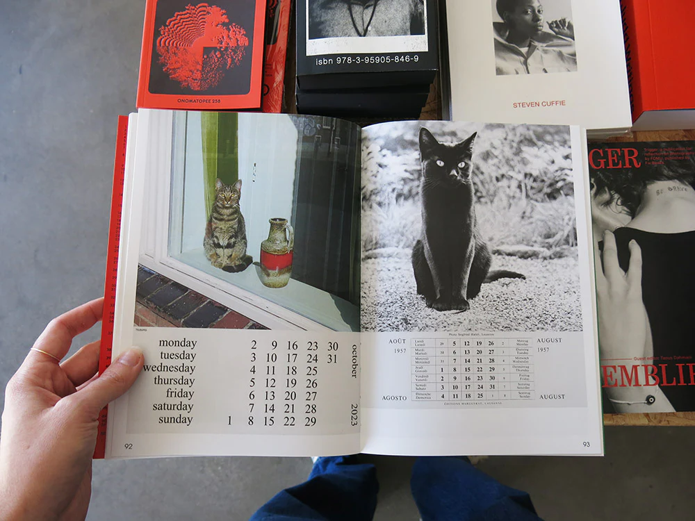 Alberto Vieceli – More Than Cat Food - Image 6