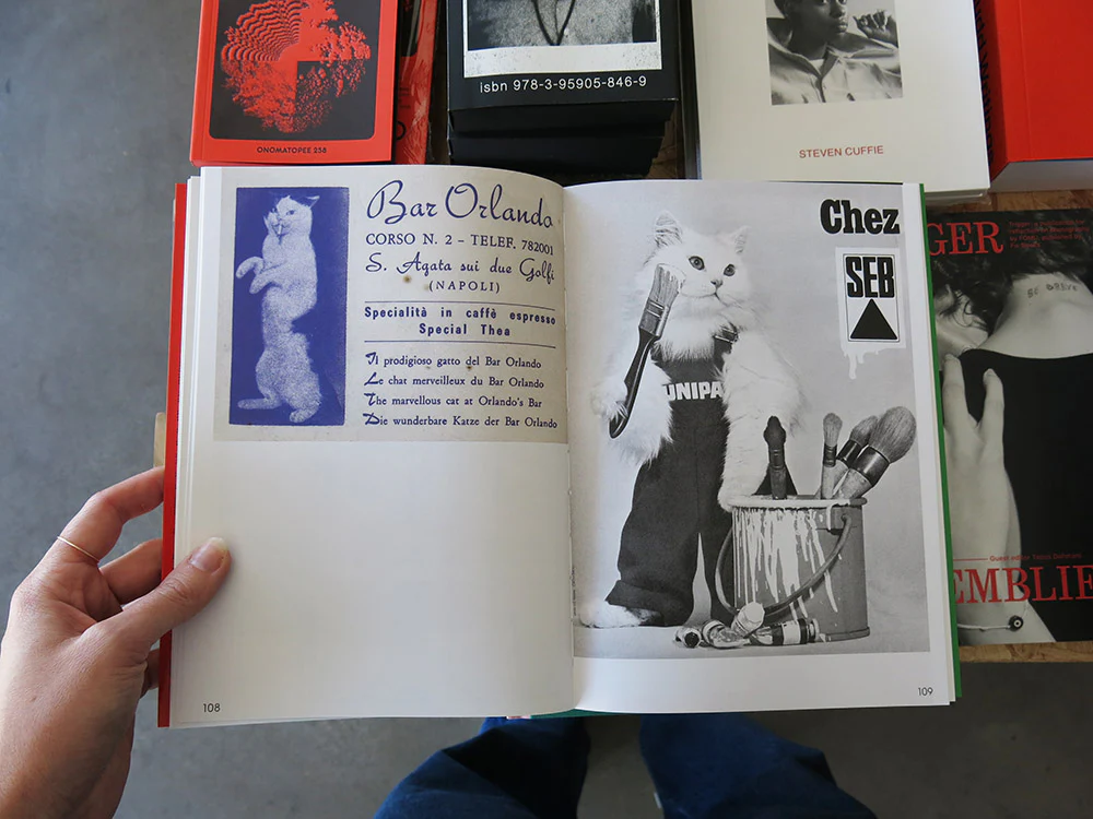 Alberto Vieceli – More Than Cat Food - Image 7