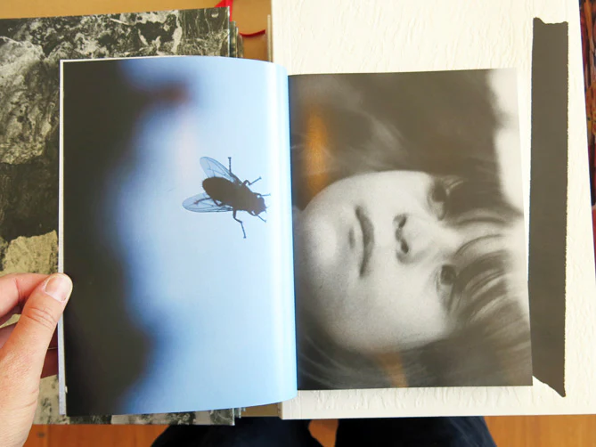 Alexander Kluge - Pluriverse - Image 2