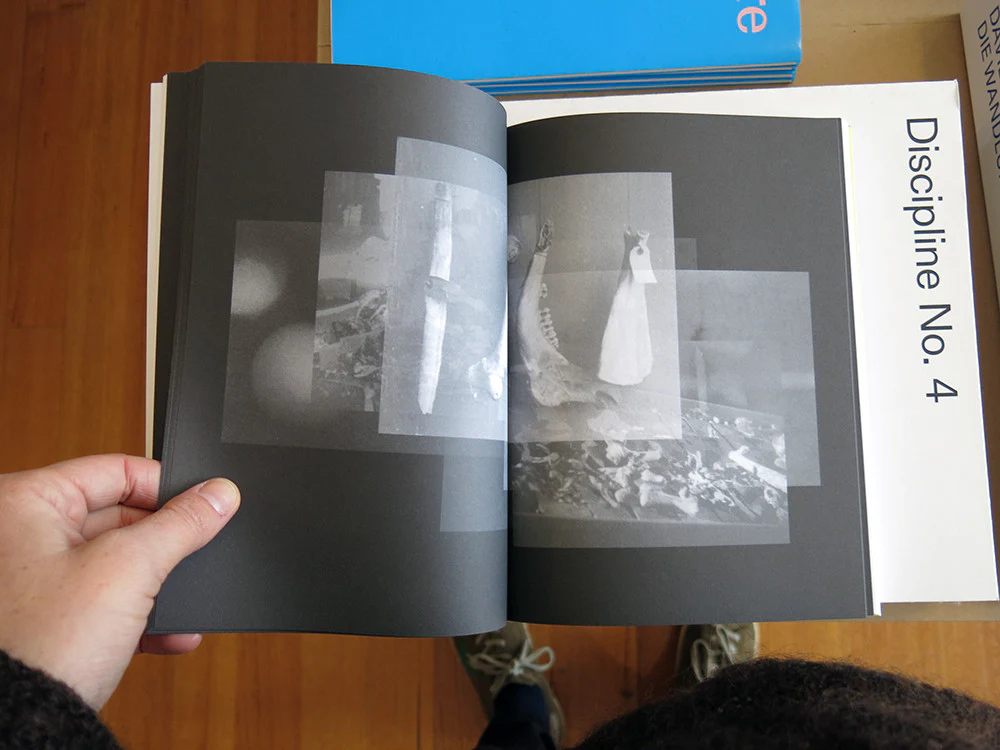 Alexandra Navratil - Brittle Land - Image 4