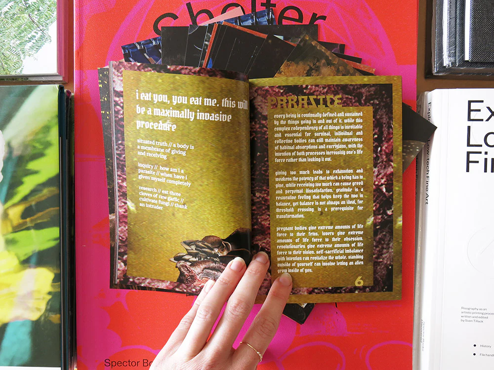 Alexandra Neuman – radical becoming in the ongoing now - Image 5