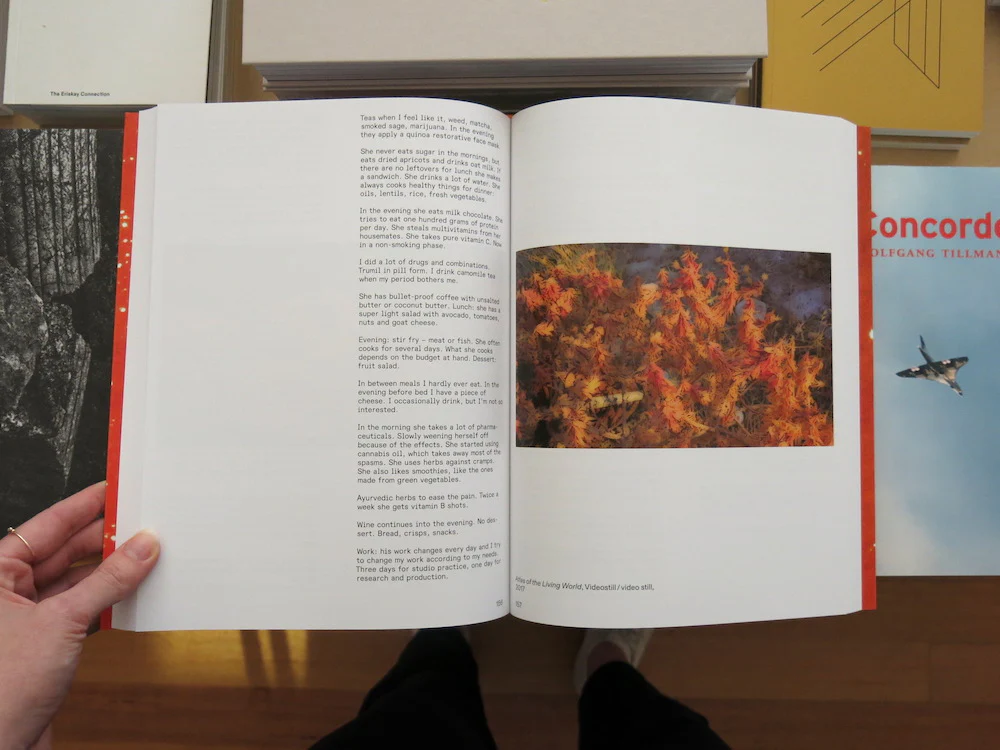 Alicia Frankovich: OUTSIDE BEFORE BEYOND - Image 7
