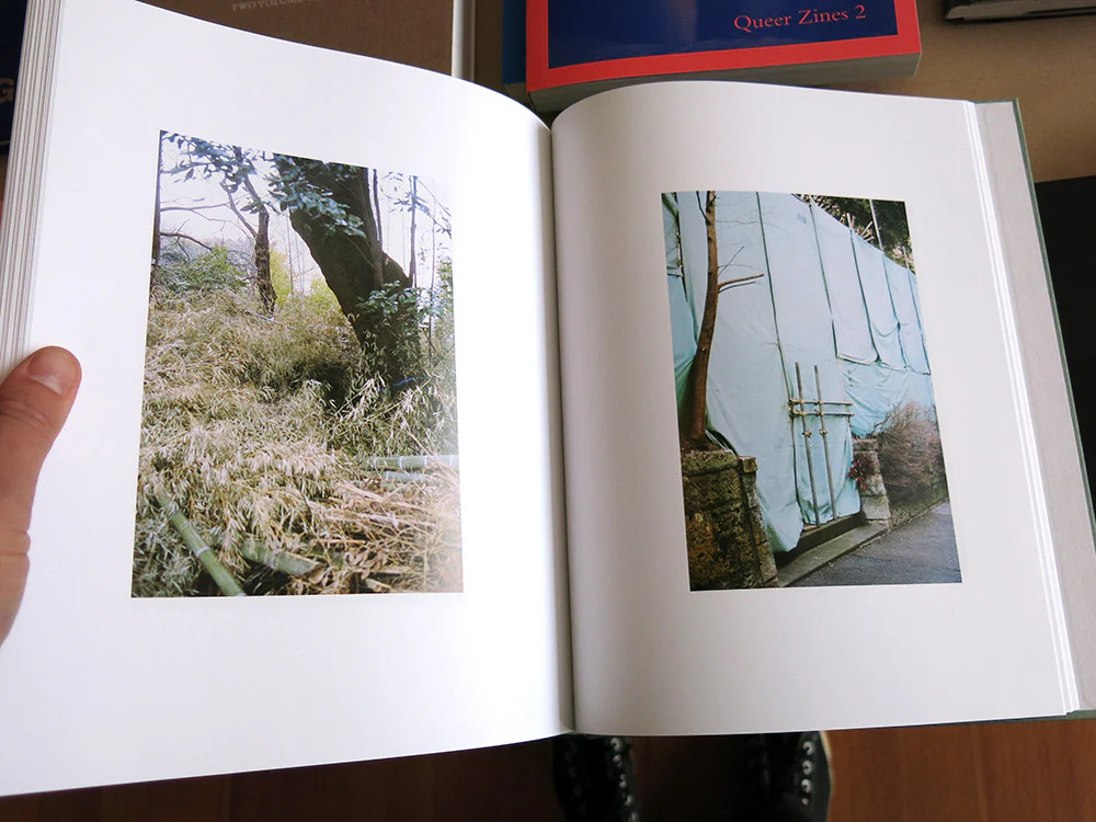 Anders Edström - Hanezawa Garden - Image 8