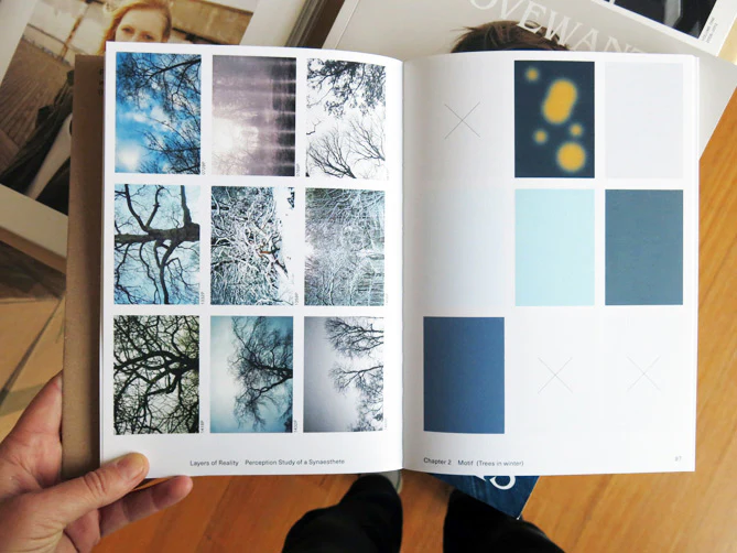 Anna Pueschel - Layers Of Reality, Perception Of A Synesthete - Image 7