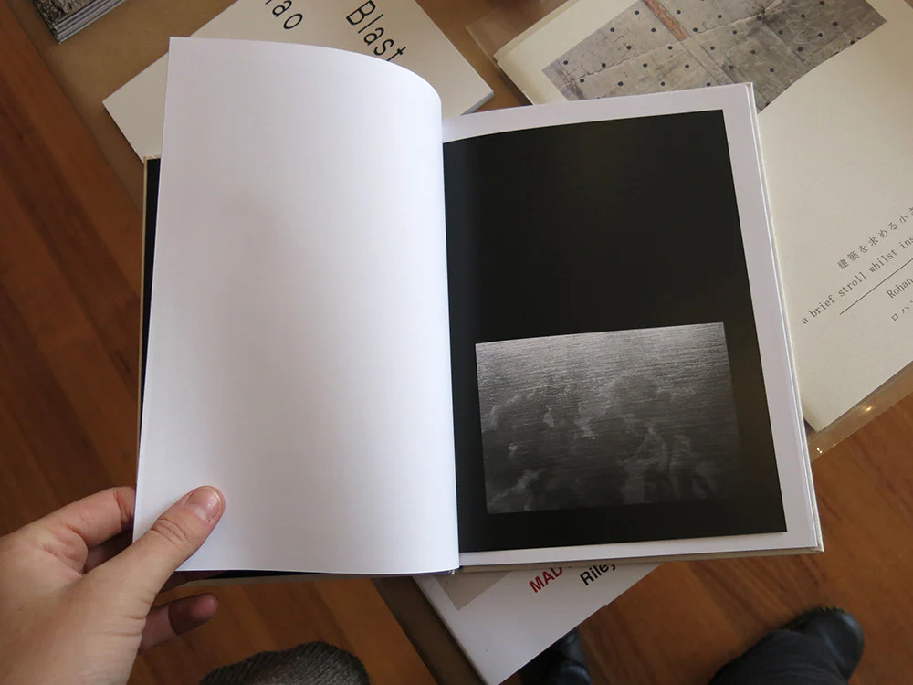 Anne Laure Sacriste - Orion Aveugle - Image 3