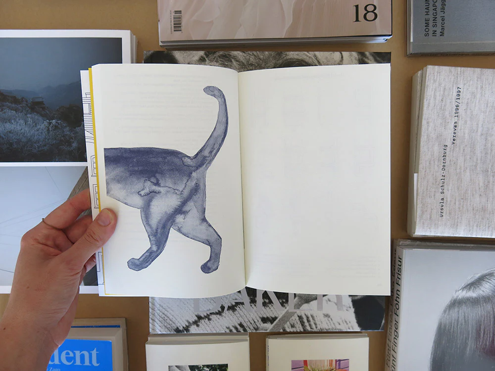 Arcatecture: Swiss Cat Ladders - Image 2