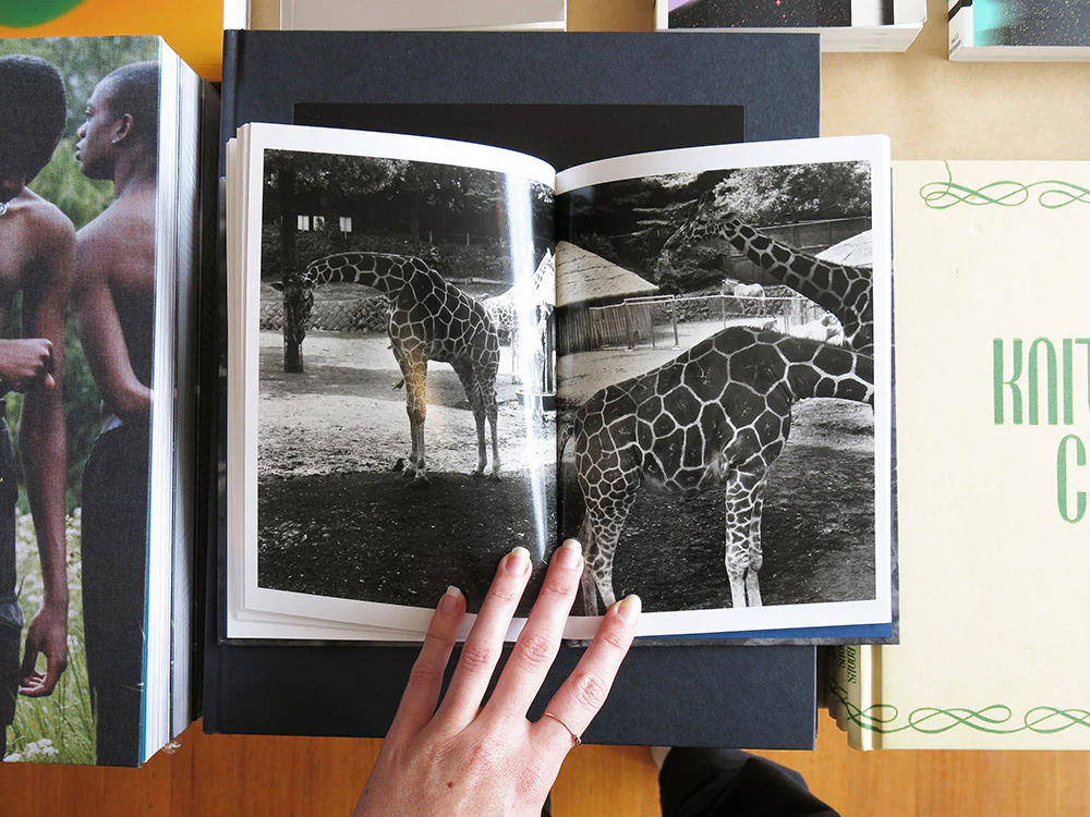 Asako Shimazaki ā Ayu no Kaze - Image 7