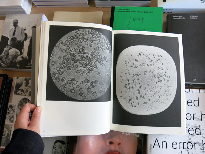 Batia Suter - Radial Grammar - Image 4