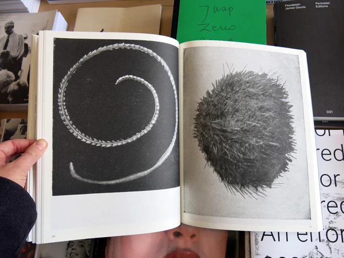Batia Suter - Radial Grammar - Image 8