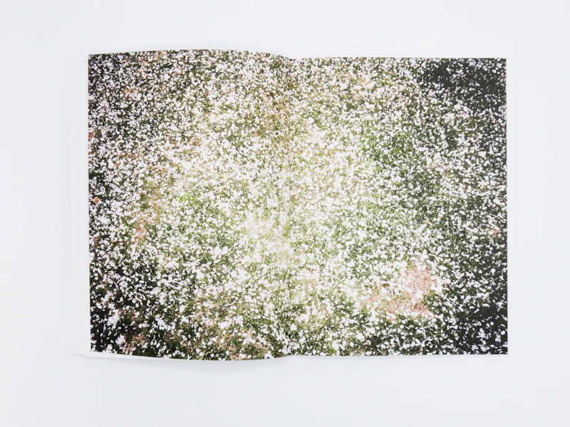 Bec Parsons - Coney Island - Image 2