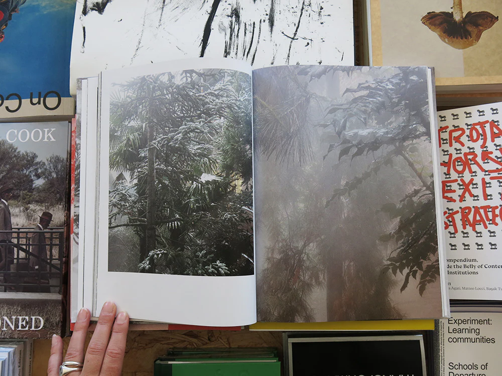 Ben Thorp Brown – Cura’s Garden - Image 5