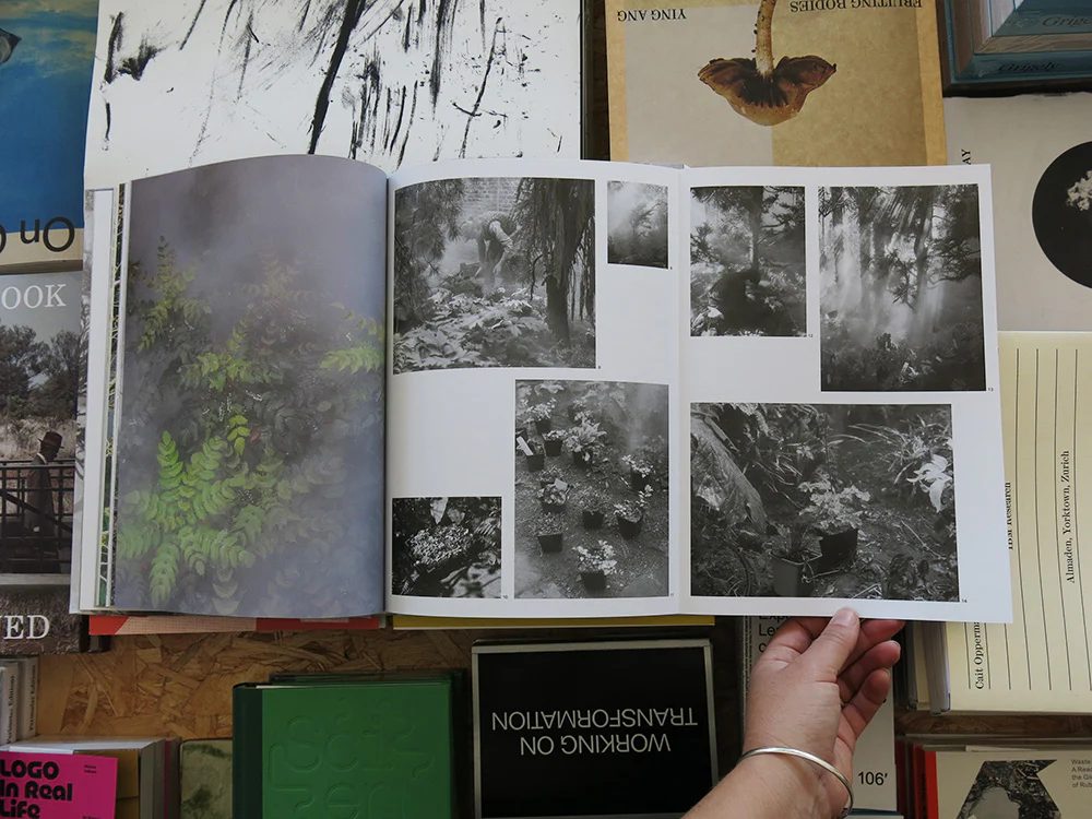 Ben Thorp Brown – Cura’s Garden - Image 6
