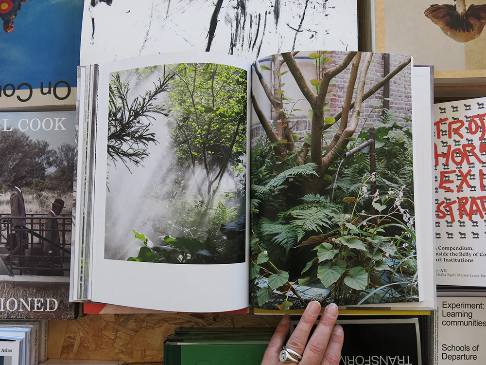 Ben Thorp Brown – Cura’s Garden - Image 8