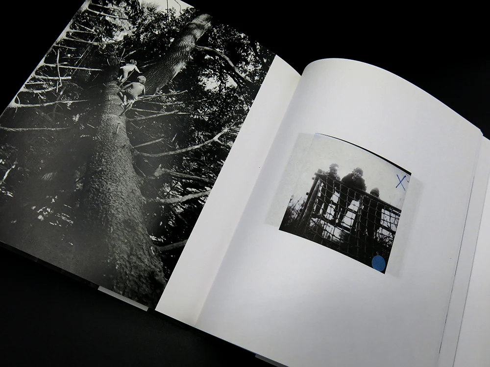 Bertien van Manen ā Easter and Oak Trees (Rare) - Image 4