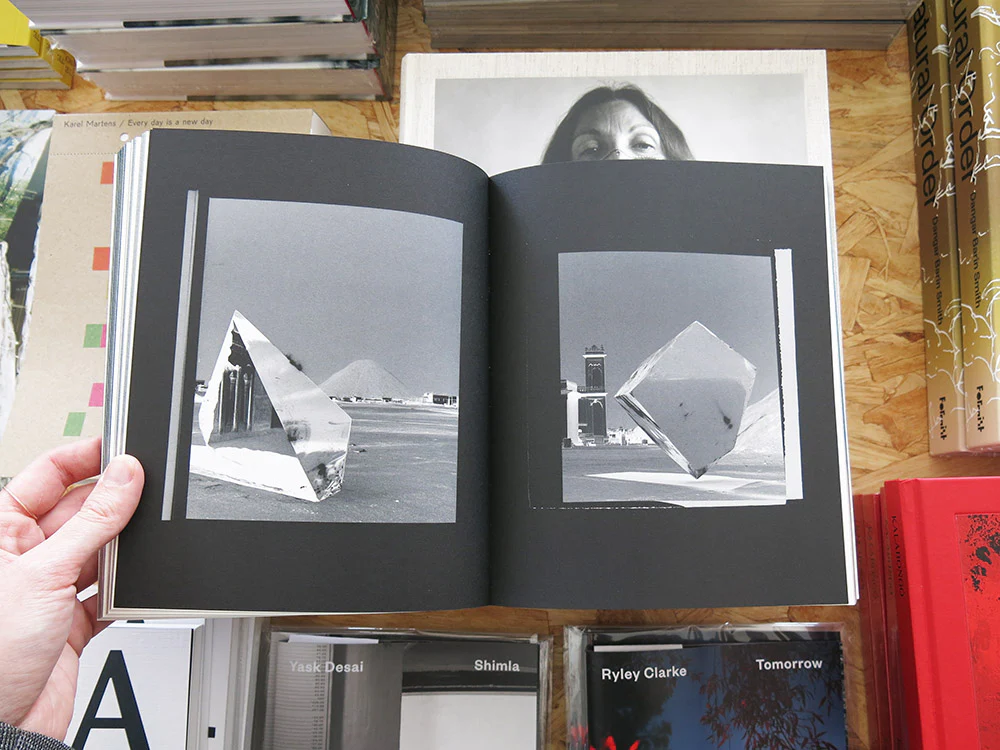 Bharat Sikka – Elephant in the Room - Image 6