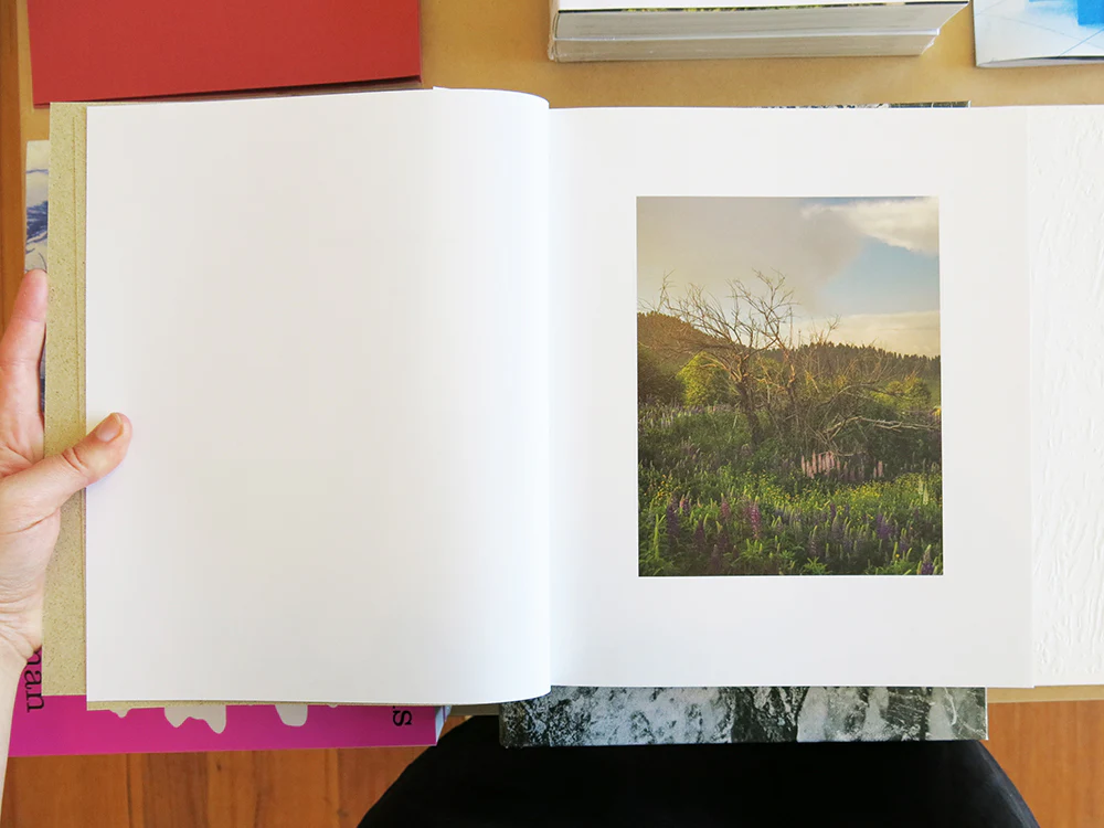 Bharat Sikka - Where the Flowers Still Grow - Image 2
