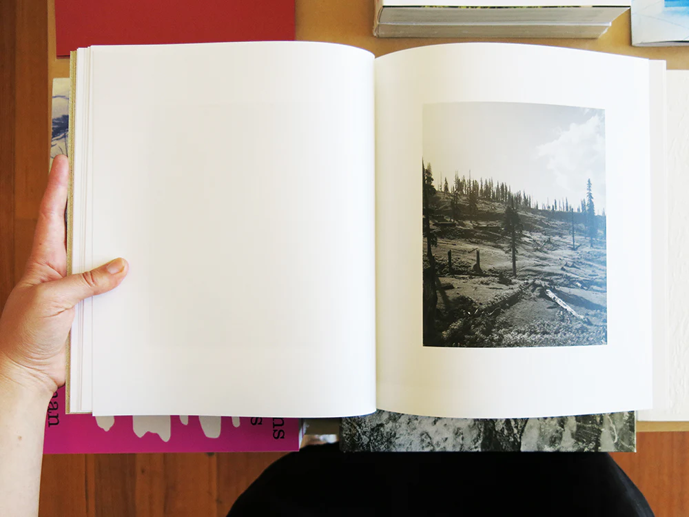 Bharat Sikka - Where the Flowers Still Grow - Image 3