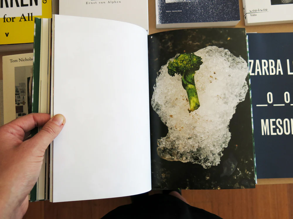 Bobby Doherty – Seabird - Image 5