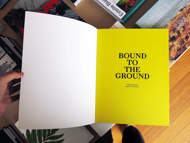 Bound To The Ground - Image 2