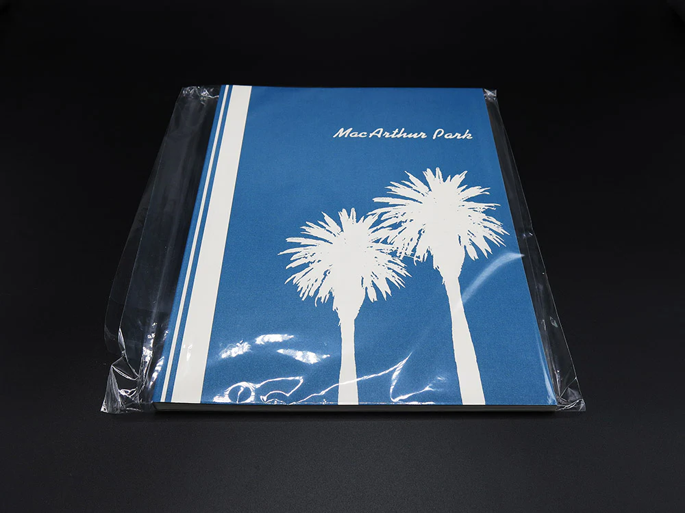Charles Johnstone – MacArthur Park (Signed, Rare) - Image 2