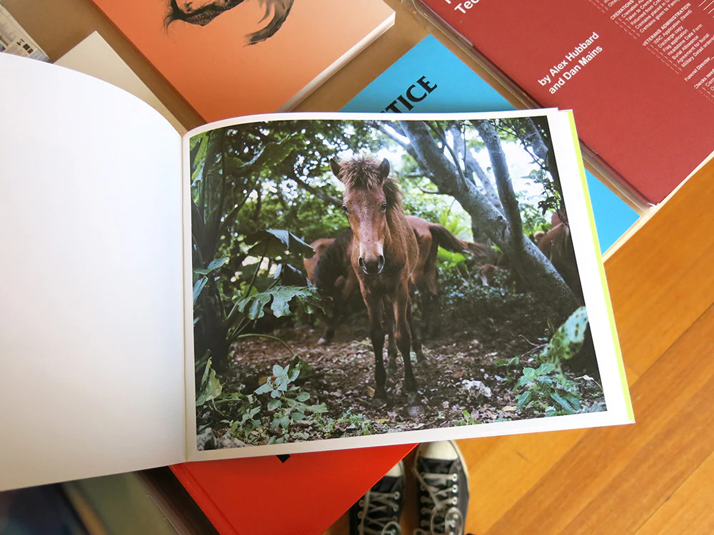 Charlotte Dumas - WORK HORSE - Image 6