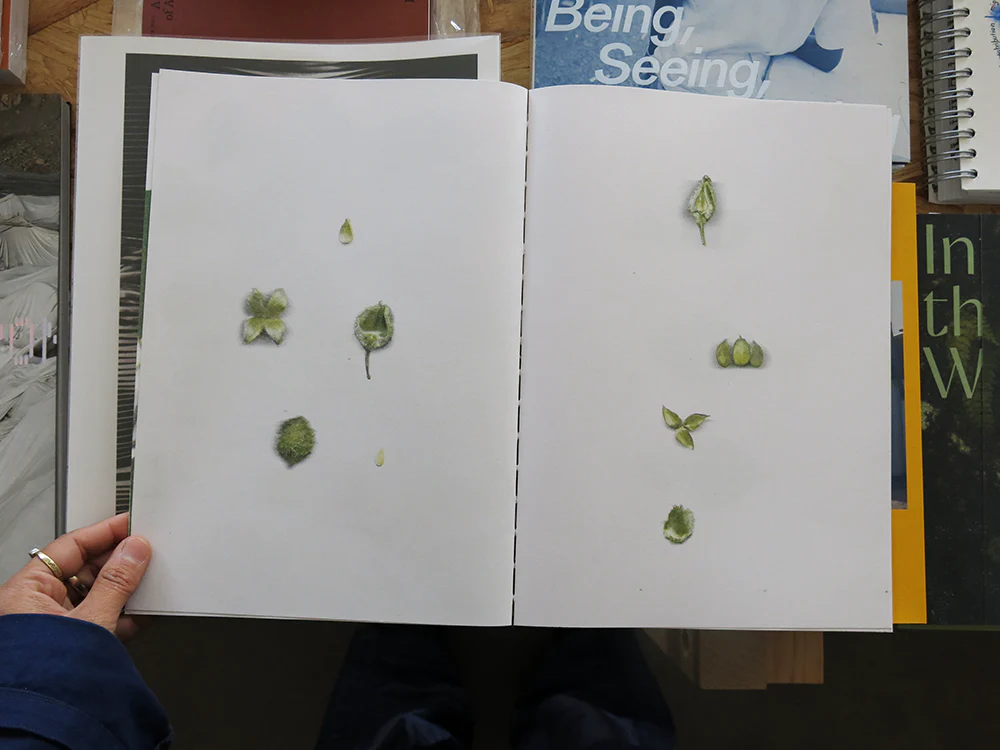 Christian+Jade – The beech at the end of a star - Image 2