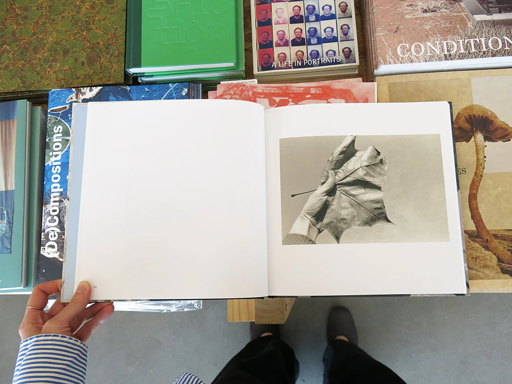 Christine Godden – Light Touch - Image 3