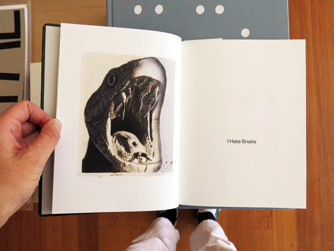 Clare Strand – Girl Plays with Snake - Image 2