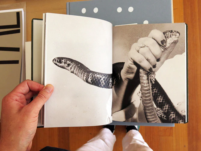 Clare Strand – Girl Plays with Snake - Image 4