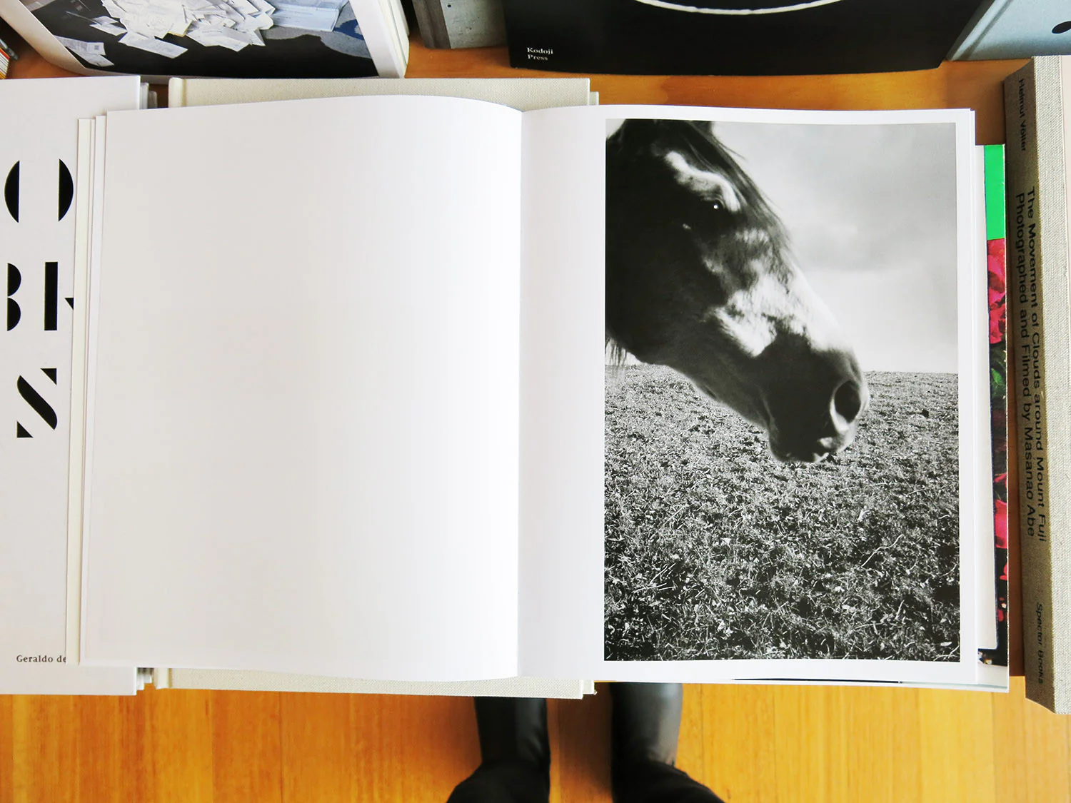 Claudio Moser - I Come From the Other Side - Image 4