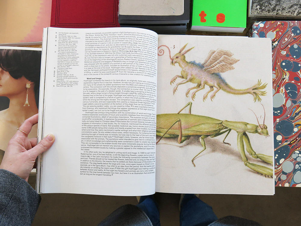 Crawly Creatures: Depiction and Appreciation of Insects and other Critters in Art and Science - Image 5