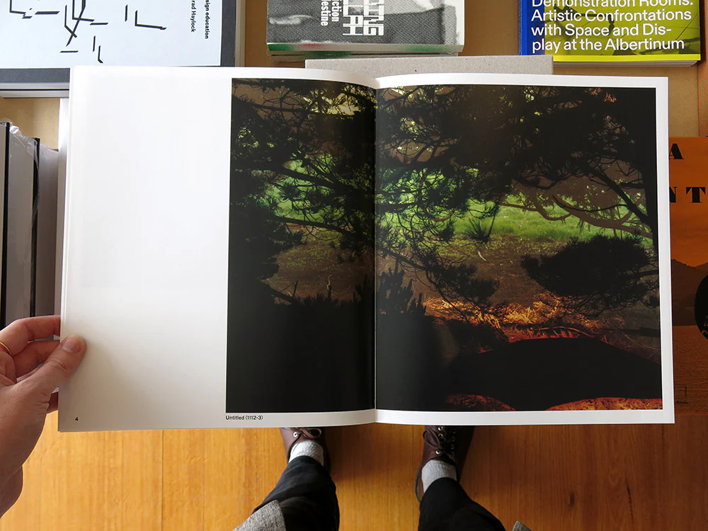 Dafna Talmor – Constructed Landscapes - Image 3
