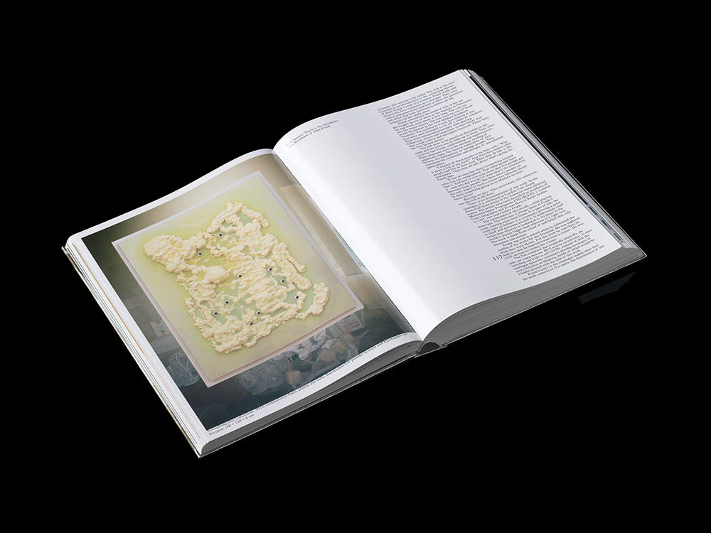 Dale Frank, Artist. Artworks 2006–2023 - Image 4