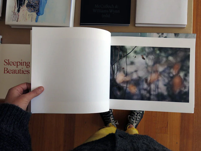 Dan Cook - New Names for Flowers - Image 4