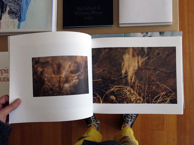 Dan Cook - New Names for Flowers - Image 5