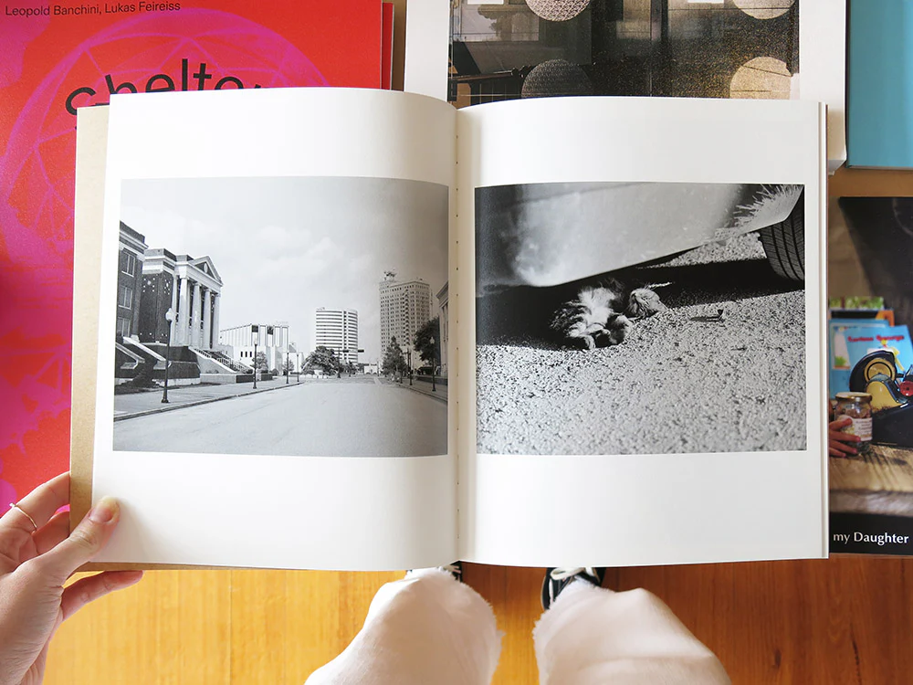 David Billet & Ian Kline – Rabbit / Hare - Image 2