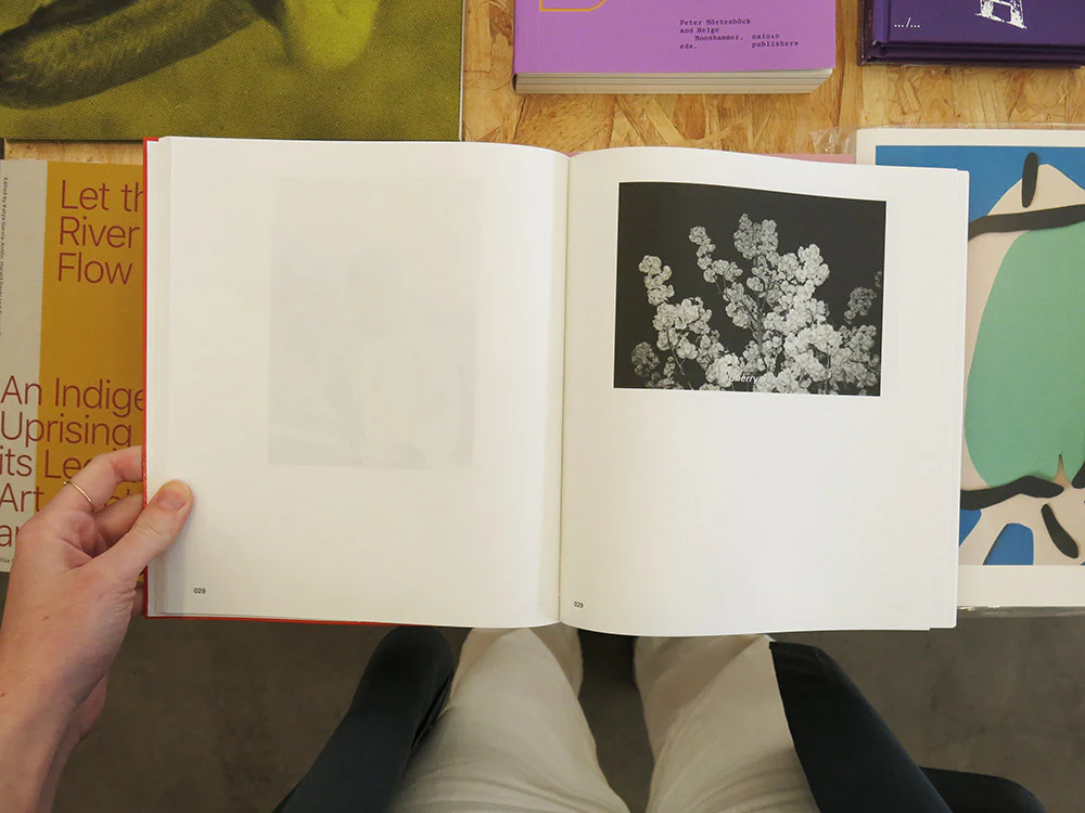 David Favrod – Gaijin Omoide Poroporo Hikari - Image 2