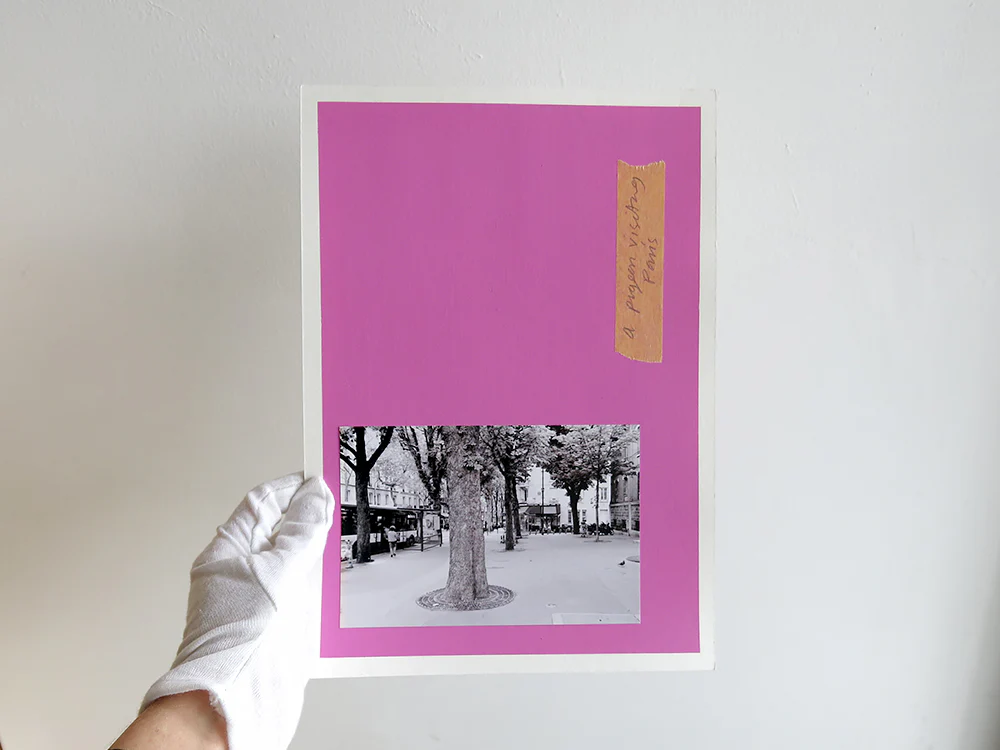 David Thomas – Amid - Image 18