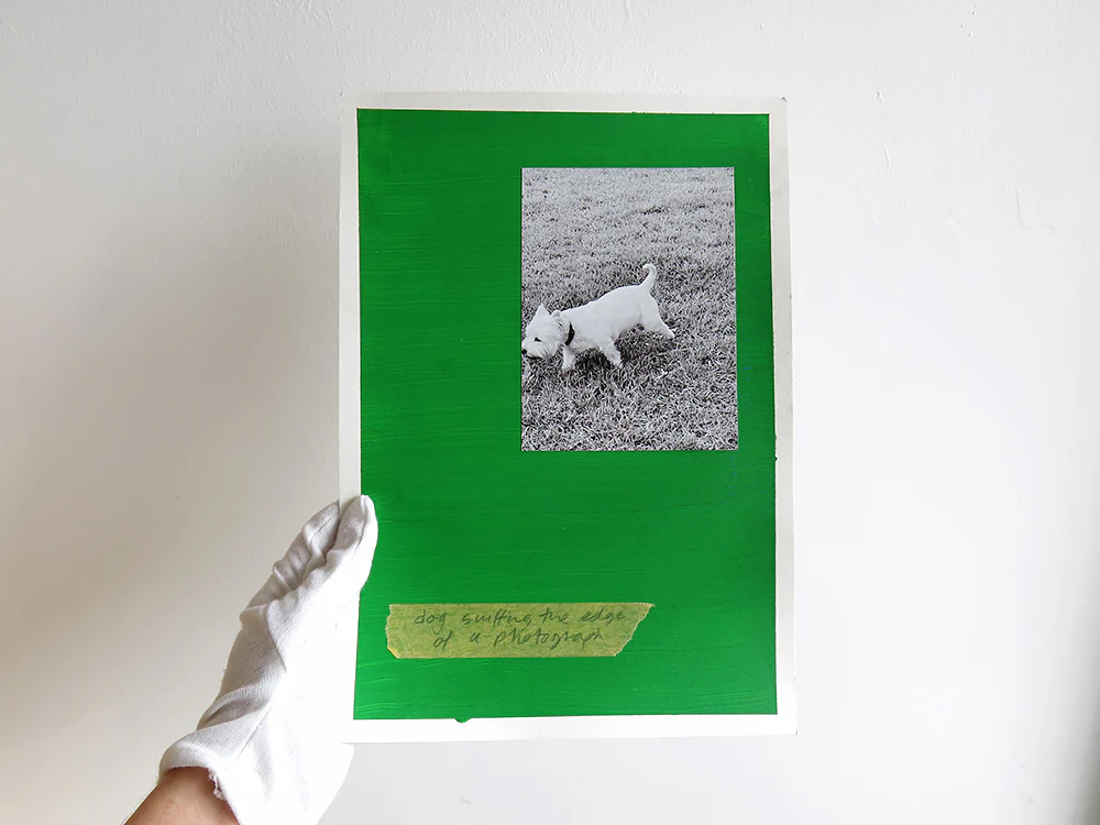 David Thomas – Amid - Image 21