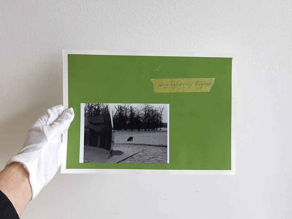 David Thomas – Amid - Image 23