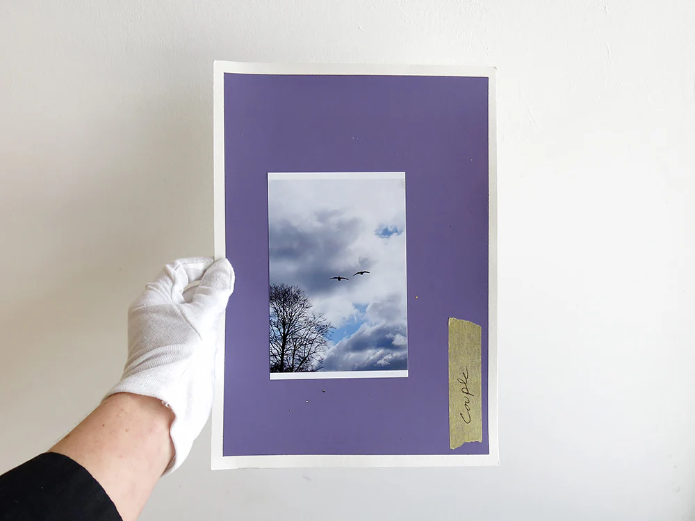 David Thomas – Amid - Image 27