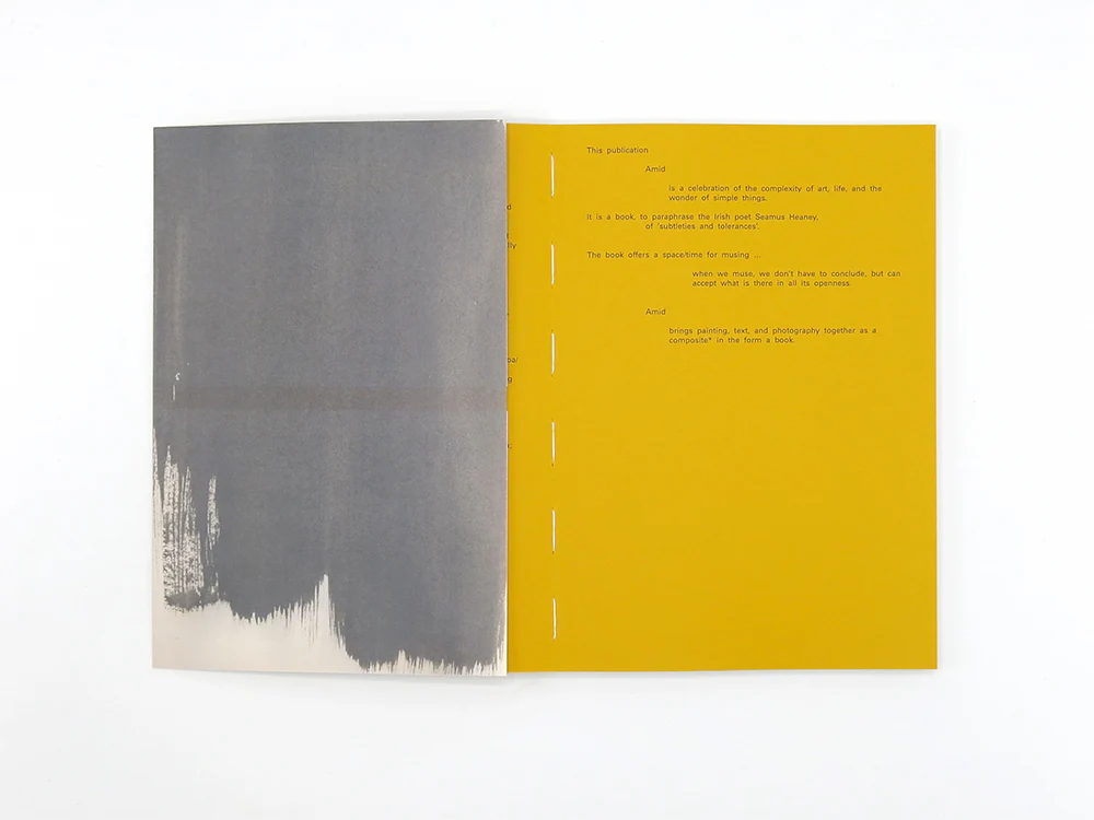 David Thomas – Amid - Image 3
