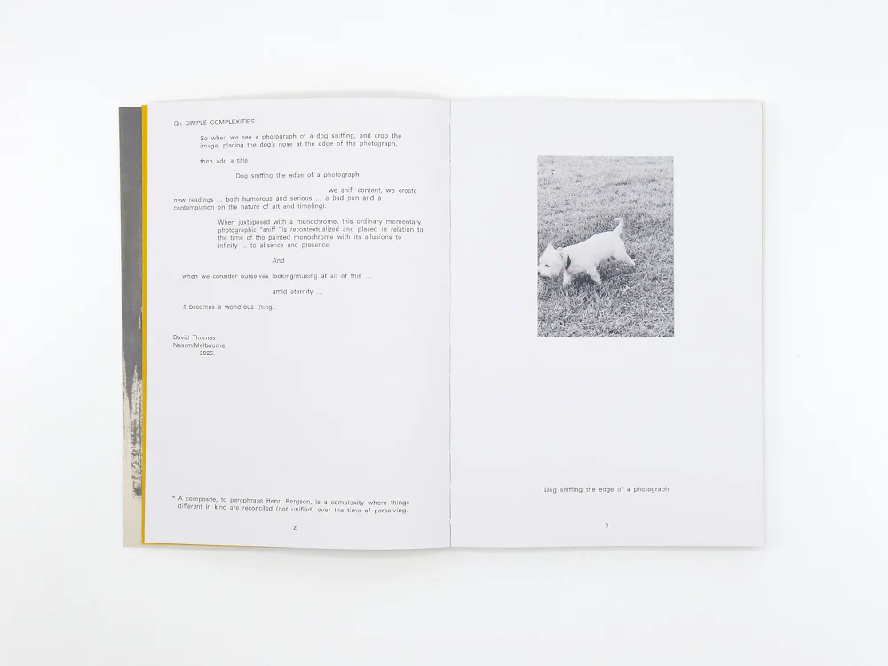 David Thomas – Amid - Image 4