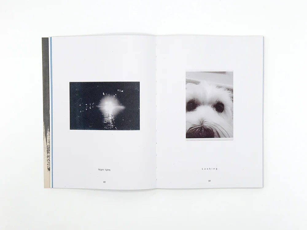 David Thomas – Amid - Image 8