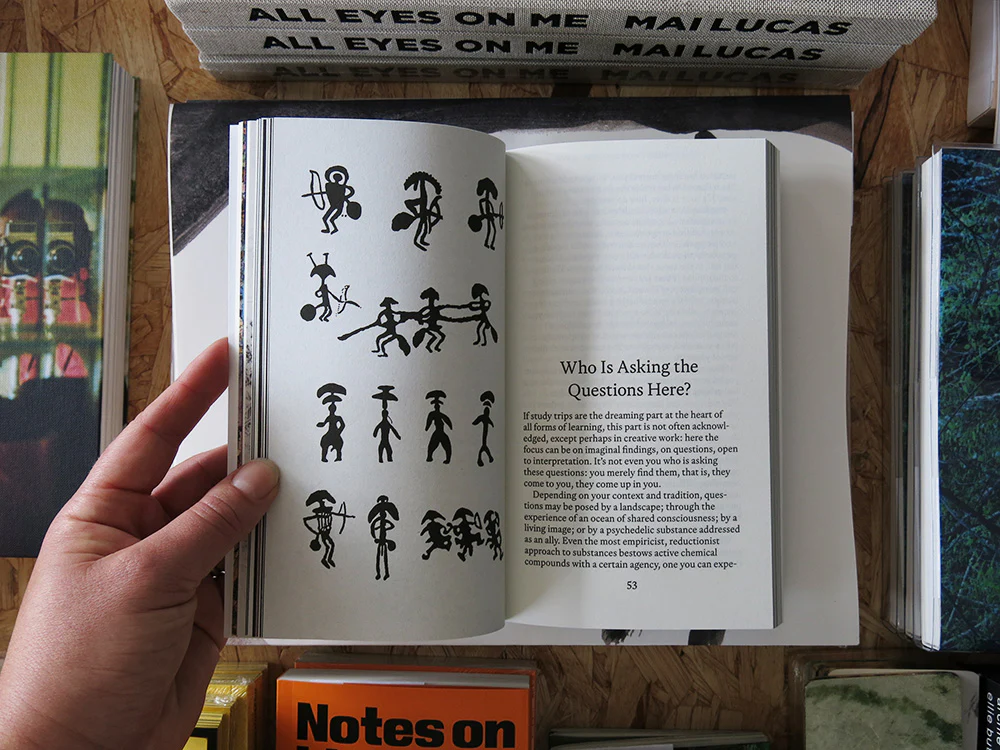 Dirk Vis – Study Trip: Psychedelics for Research and Art - Image 5