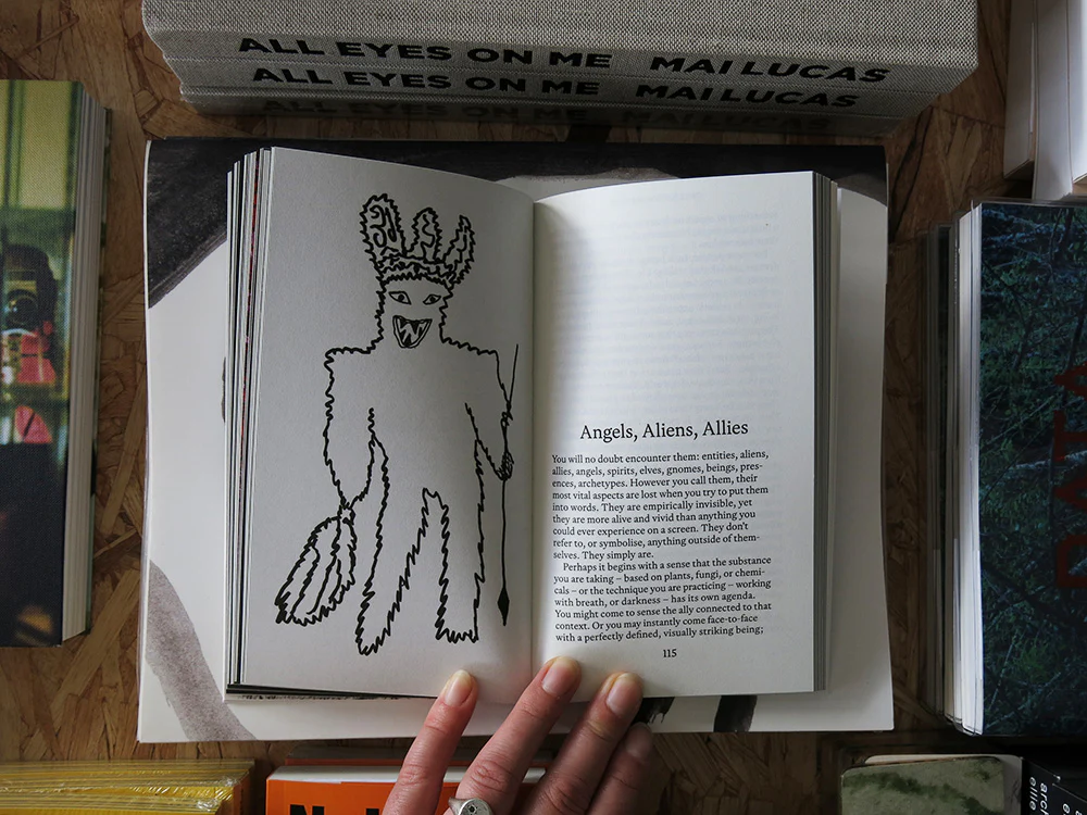 Dirk Vis – Study Trip: Psychedelics for Research and Art - Image 9