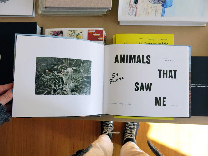 Ed Panar – Animals That Saw Me - Image 2